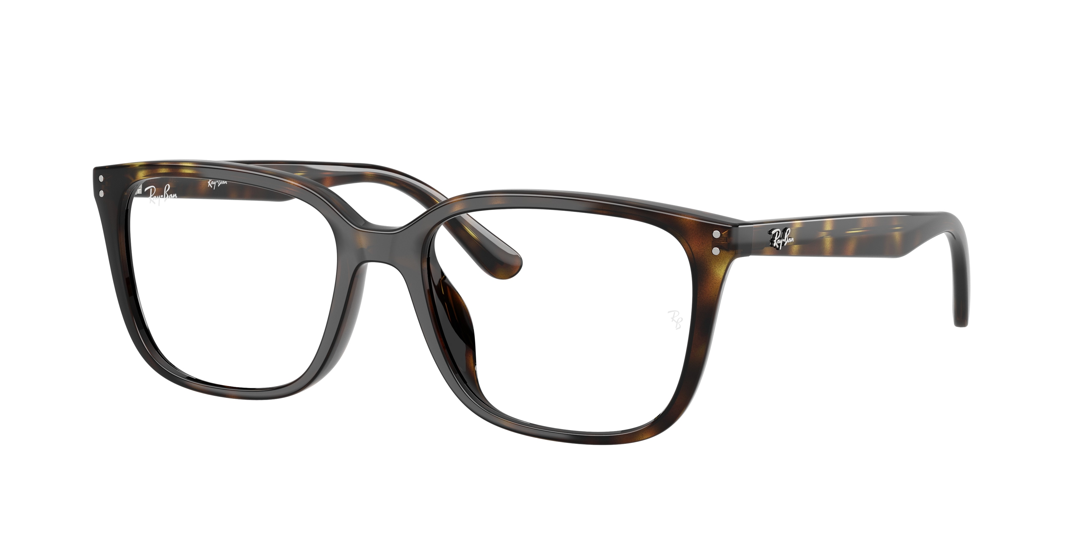 Ray Ban RX7248D 2012  